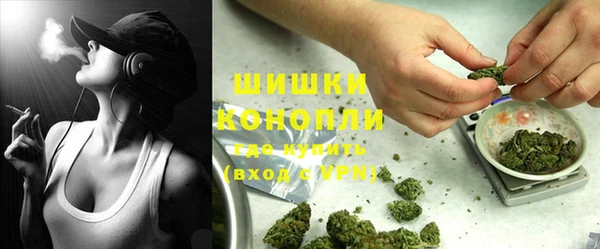 прущие грибы Дмитров