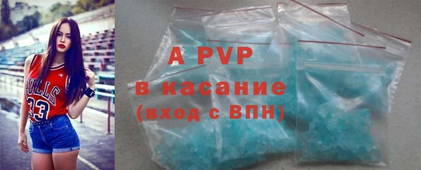 прущие грибы Дмитров