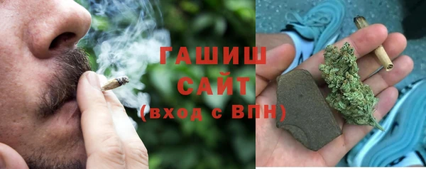 прущие грибы Дмитров