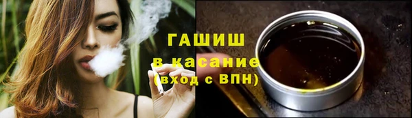 прущие грибы Дмитров