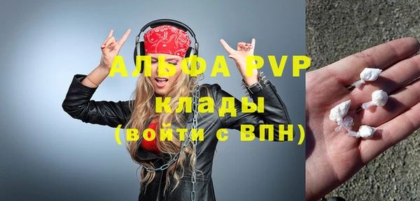 прущие грибы Дмитров