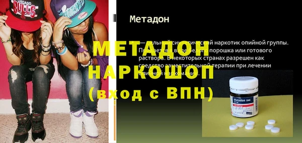 прущие грибы Дмитров