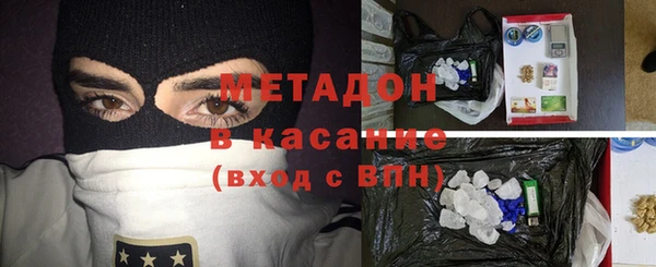 прущие грибы Дмитров