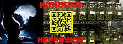 прущие грибы Апшеронск