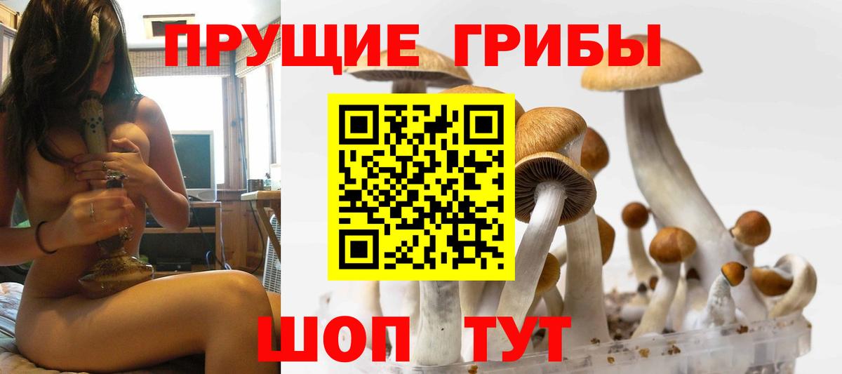 Псилоцибиновые грибы мицелий  Вход с VPN  Пыть-Ях  Псилоцибиновые грибы MAGIC MUSHROOMS 